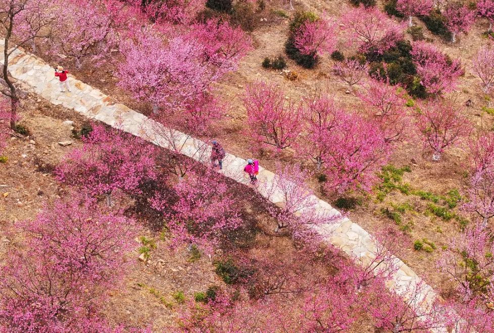 多地报告上半年出生人口增加